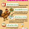 รู้จัก โรคไข้หวัดนก (Avian Influenza) ในไก่ชน