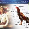 ตำนานไก่ชนพระนเรศวร