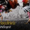 ไก่เก่งต้องมีทีเด็ดลูกตี