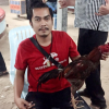 หนุ่มนักสู้ เลี้ยงไก่ชนขายจนรวย