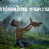 คาถาปล่อยไก่ชน ตามความเชื่อ