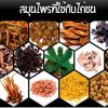 สมุนไพรที่ใช้กับไก่ชน