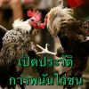 ประวัติการพนันไก่ชน
