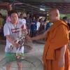 พระเกจิชื่อดัง แจกไก่ชนสร้างอาชีพ