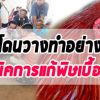  การรักษาไก่ชนวิธีล้างพิษไก่โดนวางยา