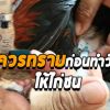 ข้อควรทราบก่อนทำวัคซีนให้กับไก่ที่มีสุขภาพสมบูรณ์แข็งแรง 