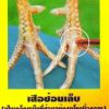 เสือซ่อนเล็บ เกล็ดแบบนี้มีน็อค มีนับ มีหลับให้เห็น