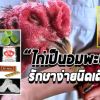 วิธีรักษาปรวดมุมปากหรืออมพะนำ