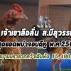 เจ้าเยียร์เขาลือลั่นไก่เงินล้าน พม่าแข้งคมแห่งที่ราบสูง แชมป์สนามมหาลาภ