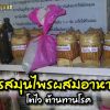 สูตรสมุนไพรผสมอาหารไก่ โตไว ต้านทานโรค