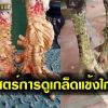 ศาสตร์การดูเกล็ดตามตำราโบราณ