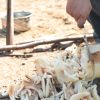 สูตรทำอาหารเลี้ยงเป็ดไก่ ทำง่าย โตไว แถมประหยัดเงินสุดๆ