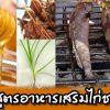 สูตรอาหารเสริมไก่ชน