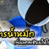 สูตรน้ำหมักเพิ่มแคลเซียมให้ไก่ชน