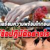สูตรการเลี้ยงไก่ชนการเตรียมความพร้อมไก่ก่อนออกชนควรมีข้อปฏิบัติอย่างไร