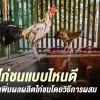 ผสมเทียม กับ ผสมแบบธรรมชาติ อันไหนดีกว่ากัน