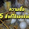 เคล็ดลับการทำรังฟักไข่ ตามความเชื่อคนโบราณ