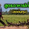 สูตรอาหารไก่ชน (ลดต้นทุน)  