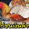 องค์ประกอบไก่ชนเงินล้าน