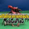 การแก้ไขไก่อาการทางประสาทขณะเข้าชน ให้กลับคืนสู่สภาพพร้อมชนต่อ
