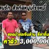 เจ้าแสนรัก พ่อพันธุ์หนุ่มโรงหมี่ค่าตัว 3,000,000 บาท