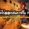 สูตรเลี้ยงตี 14 วัน สำหรับคนทำงานไม่มีเวลา