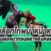 การเลือกพม่าหน้าหงอน ความคมต้องมาก่อนอย่างอื่นค่อยว่ากัน