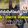 “ไก่ปีกโหว่ ปีกหว่าง ปีกสองตอน” ทำไมถึงไม่นิยมเลี้ยงถือว่ามีตำหนิแต่มีทางแก้ไข