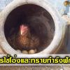 การใช้โอ่งทำรังฟักไข่