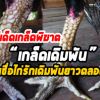 เกล็ดเดิมพัน ความเชื่อ ที่ไม่ยอมแพ้ง่ายๆ รักเดิมพัน