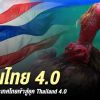 ไทยแลนด์ 4.0 ชาวไก่ชนออนไลน์ต้องปรับตัวยังไงไม่ให้ตกเทรน