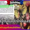 ถึงบางอ้อทำไมรัฐถึงไม่ส่งเสริมการเปิดบ่อนชนไก่แบบเสรีซะที