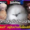 สัตว์เศรษฐกิจใหม่มาแรง 