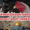 สังคมไก่ชน เยือนถิ่นไก่ชนต่างแดนคนไทยหัวใจไก่ชน เมืองเทลอาวีฟ ประเทศอิสราเอล