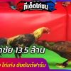 เจ้าเรือรบ ไก่ชนซุ้มชัยยันต์ฟาร์ม คว้าชัย 13,500,000 บาท