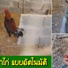 พาทำ ระบบให้น้ำไก่ แบบอัตโนมัติ ไม่กี่ขั้นตอน