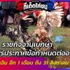 นายกฯ อนุมัติ เปิดสนามชนไก่ - ชนโค - ปลากัด - กองถ่าย เซียนชนไก่ได้เวลาเฮ