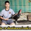 หนุ่มวัย 18 เลี้ยงไก่ชนยามว่าง สร้างรายได้หลักหมื่น