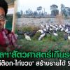  หนุ่มอุบลราชธานี จบสัตวศาสตร์เกียรตินิยม ทำฟาร์มไก่ต๊อก ไก่งวง สร้างรายได้เดือน