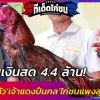 หอบเงินสด 4.4 ล้าน!! จ่ายค่าตัว‘เจ้าแดงปืนกล’ไก่ชนแพงสุดในโลก ‘สมศักดิ์’เป็นพยาน