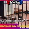 ข่าวสุดฮาเมื่อ ตำรวจจับไก่ชนเข้าคุก