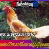 ไก่ชน พระนเรศวรมหาราช