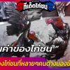 คุณค่าของไก่ชนที่หลายๆคนต่างมองข้าม