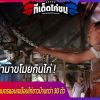 งูหลามยาวเกือบ 4 เมตรแอบเขมือบไก่ชาวบ้านกว่า 30 ตัว