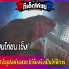 เซียนไก่ชน เซ็ง! ซื้อไก่ผ่าน FB ในรูปอย่างสวย ได้รับจริงเป็นไก่พิการ