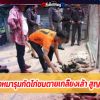 อีกแล้ว! ฝูงหมารุมกัดไก่ชนตายเกลี้ยงเล้า สูญกว่า 5 แสน
