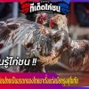 เรียนรู้ไก่ชน ประวัติ สาระเกี่ยวกับไก่ชนในเมืองไทย