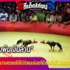 เดิมพันเงินล้าน ไก่ชนคู่หยุดโลก