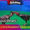 ไก่ชนคู่ประวัติศาสตร์ เดิมพัน 22 ล้าน คนครึ่งหมื่นแห่ชม