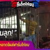 ขนลุก! แสงไฟประหลาดโผล่ฟาร์มไก่ชน